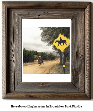 horseback riding near me in Broadview Park, Florida